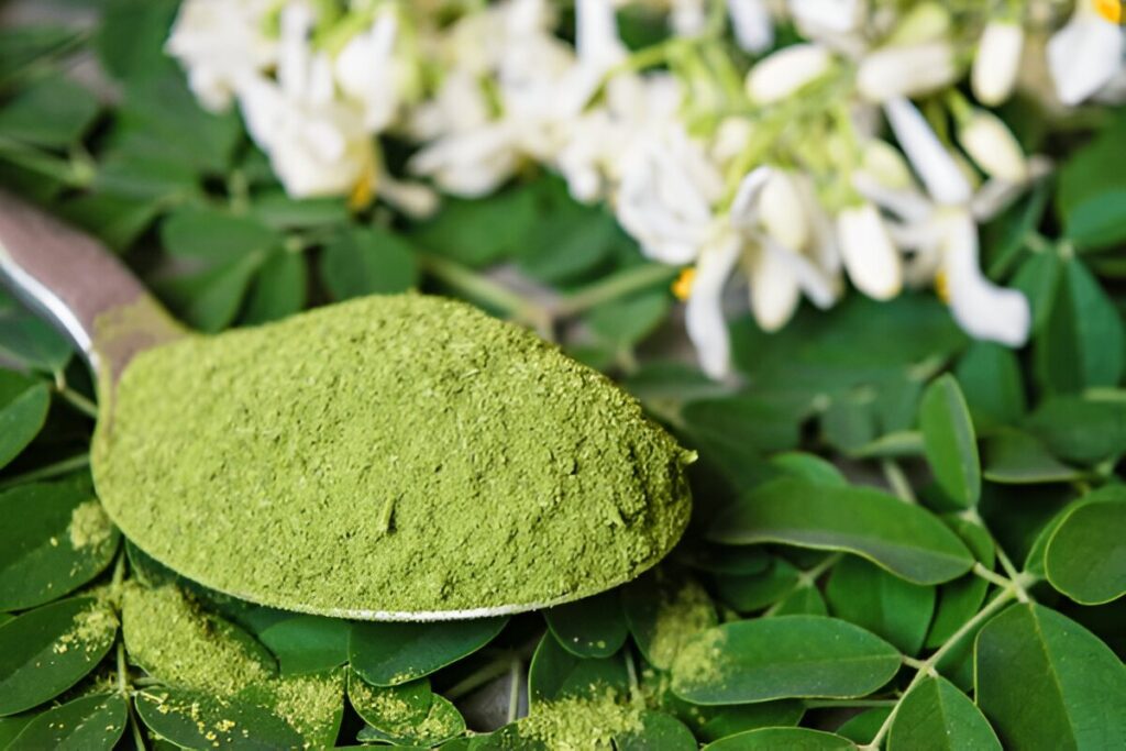 moringa vs spirulina