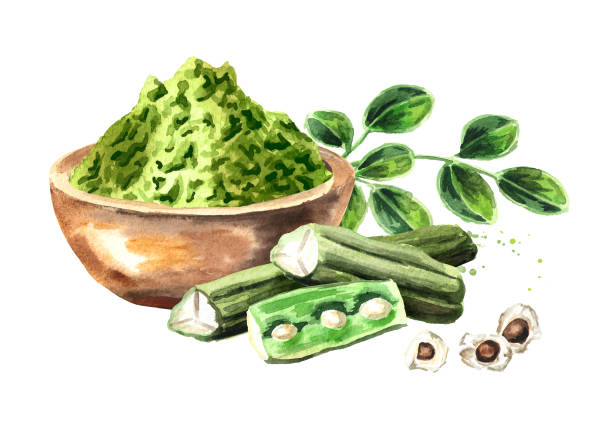 Rosa Bella Moringa