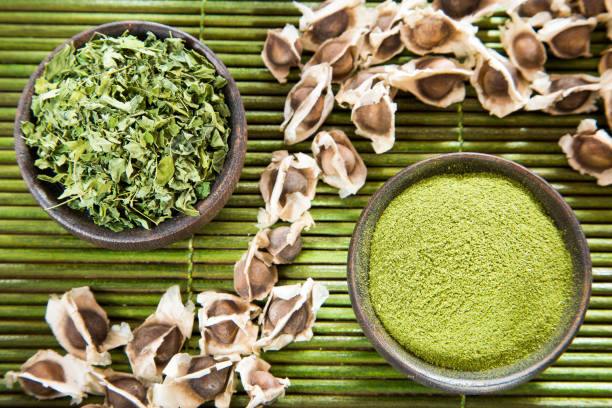 Rosa Bella Moringa
