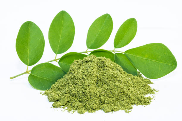 moringa leaves recipe