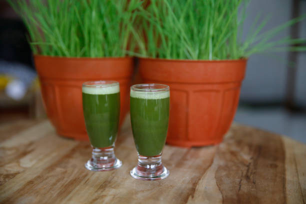 wheatgrass smoothies