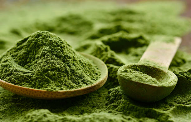 best chlorella supplement