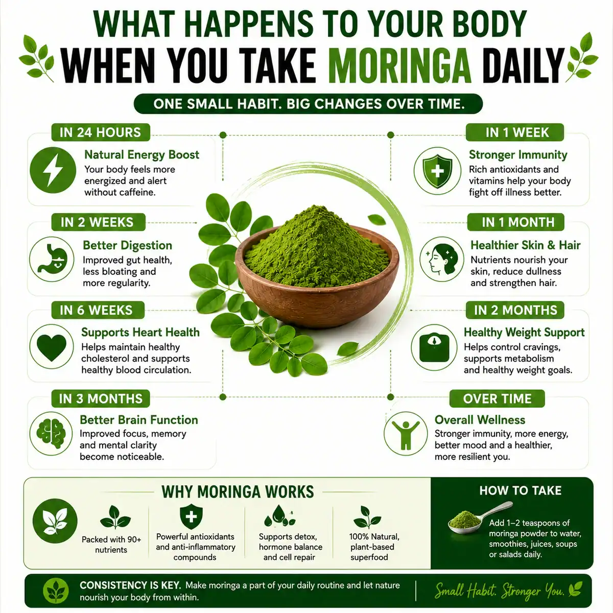 Moringa Powder Benefits