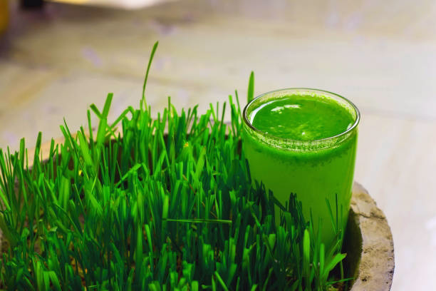 Wheatgrass Benefits