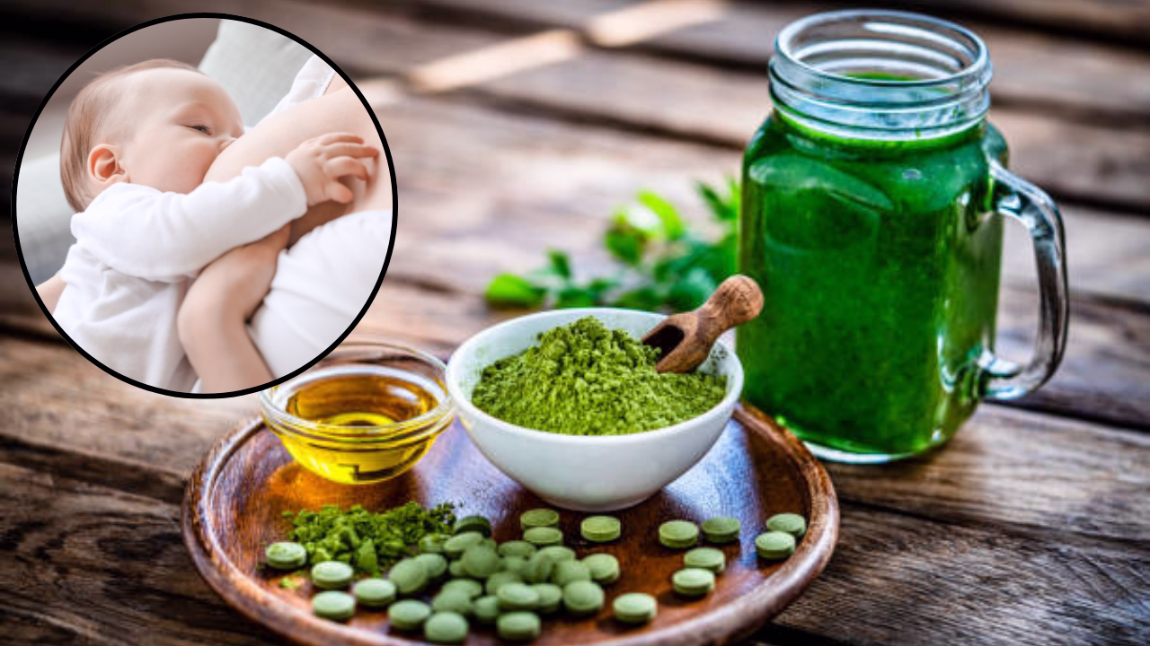 moringa for milk supply