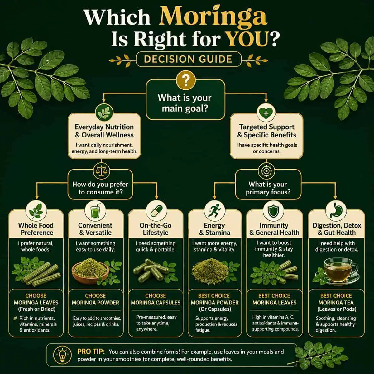 Moringa Fruit