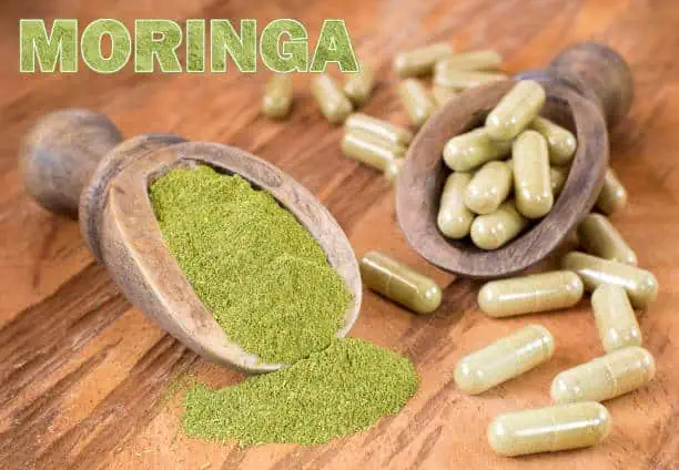 how to use moringa powder